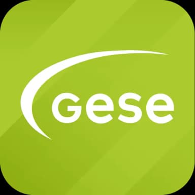 GeSe Now