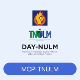 TNULM MCP