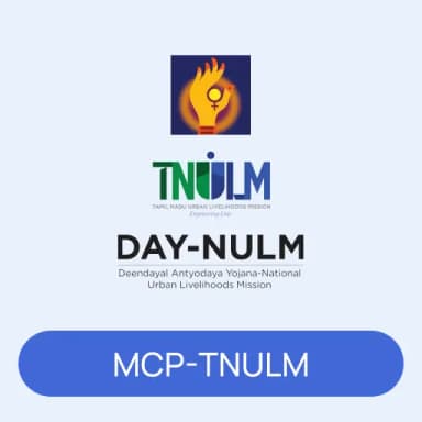 TNULM MCP