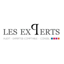 LES EXPERTS