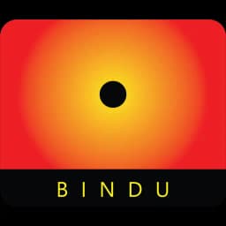 BINDU Vision