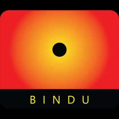 BINDU Vision