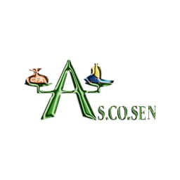 Ascosen