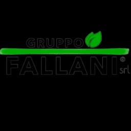Gruppo Fallani