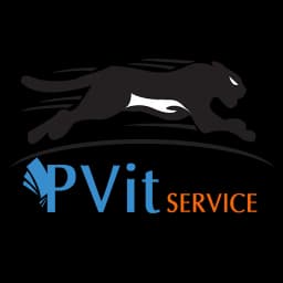 PVitMobile