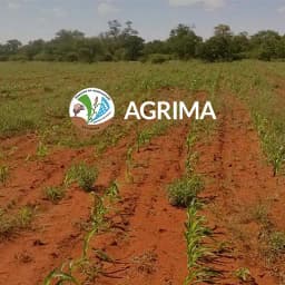Agrima Farmers