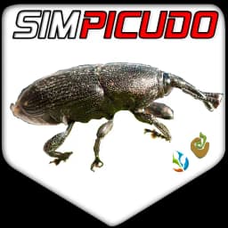SIMPICUDO