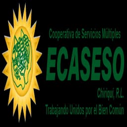 Ecaseso En Linea
