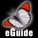 Butterfly eGuide