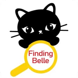 Finding-Belle