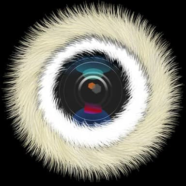 Fluffy Camera