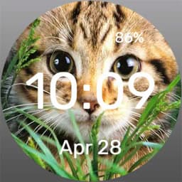 Kitty - Watch Face
