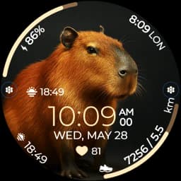 Chester Capybara
