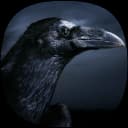 Crow Ringtones