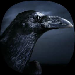 Crow Ringtones