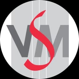 VSM