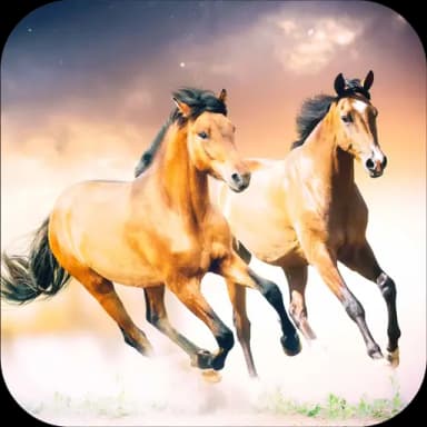 Horse Wallpapers