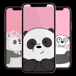 Panda Wallpaper