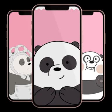 Panda Wallpaper
