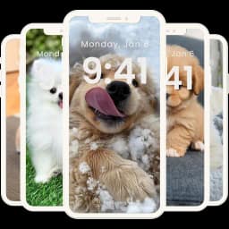 Puppy Wallpaper