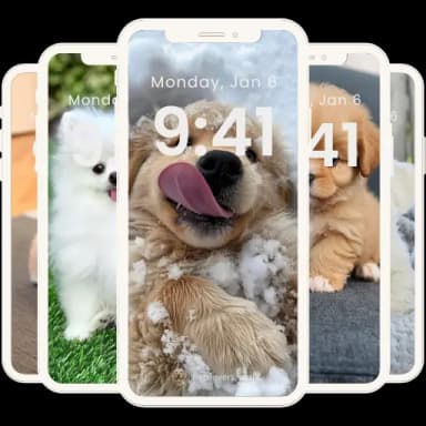 Puppy Wallpaper