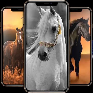 Horse Wallpapers