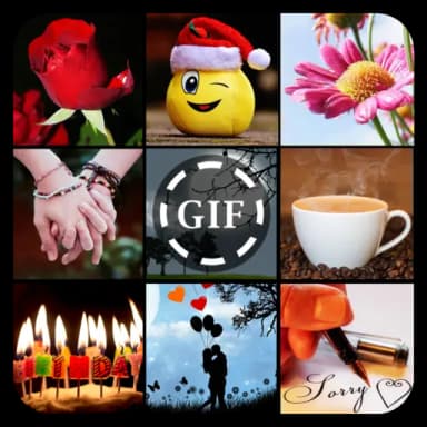 GIF Collection