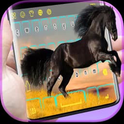 Equine keyboard