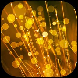 Dream Live Wallpapers