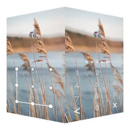 AppLock Live Theme Reeds