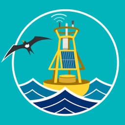 Caricoos Pa' la Playa