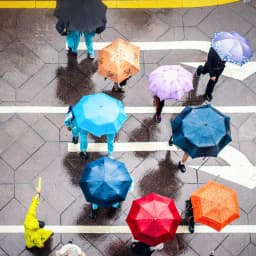 Umbrella Wet Weather Spinner