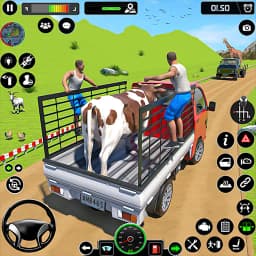 Animal Transport Truck Driving