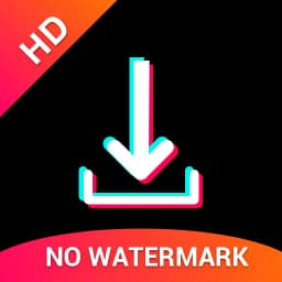 Video downloader for TT