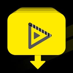 Video downloader - story saver