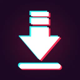 Video Downloader for TT