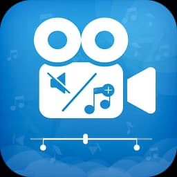 Add Remove Audio From Video