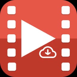 Online Video Downloader