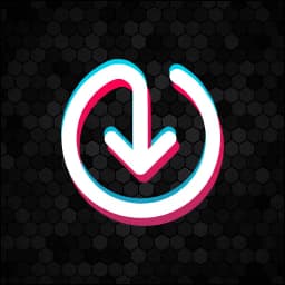 Video Downloader No Watermark