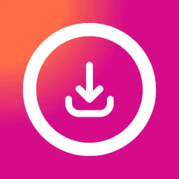 Video Downloader: Story Saver