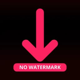 Like Video Downloader No Logo