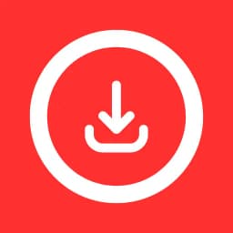 Pin Video Downloader