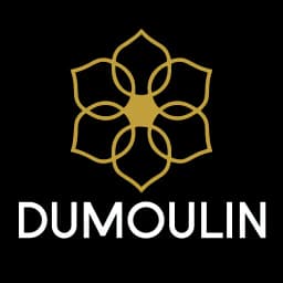 Dumoulin Travel Guides