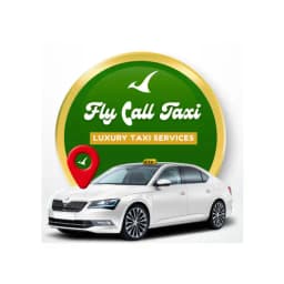 Fly Call Taxi Driver