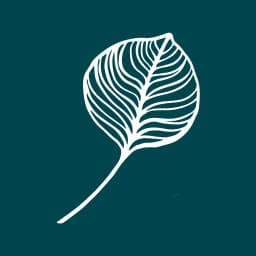 Alamora Community App