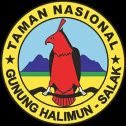 MONALISA Halimun Salak