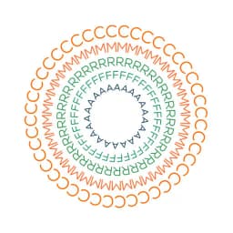 The Constitution Museum at JGU