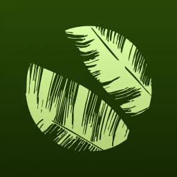 BoRa Fazenda Bananal