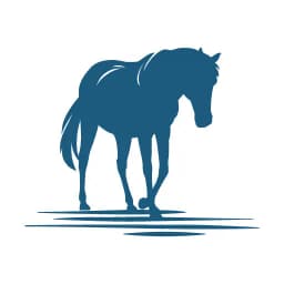 The Northern Outer Bank