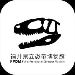 FPDM Exhibition Commentary